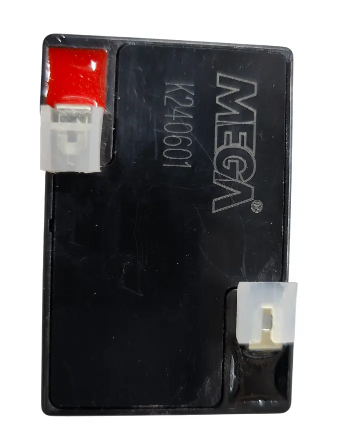 IMG20241228164633-Photoroom IMG20241228164633-Photoroom