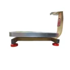 Mega Digital Weight Scale 60 kg (1)